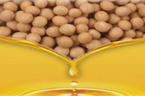 Degummed Soyabean Oil