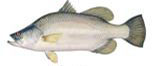 Item 10